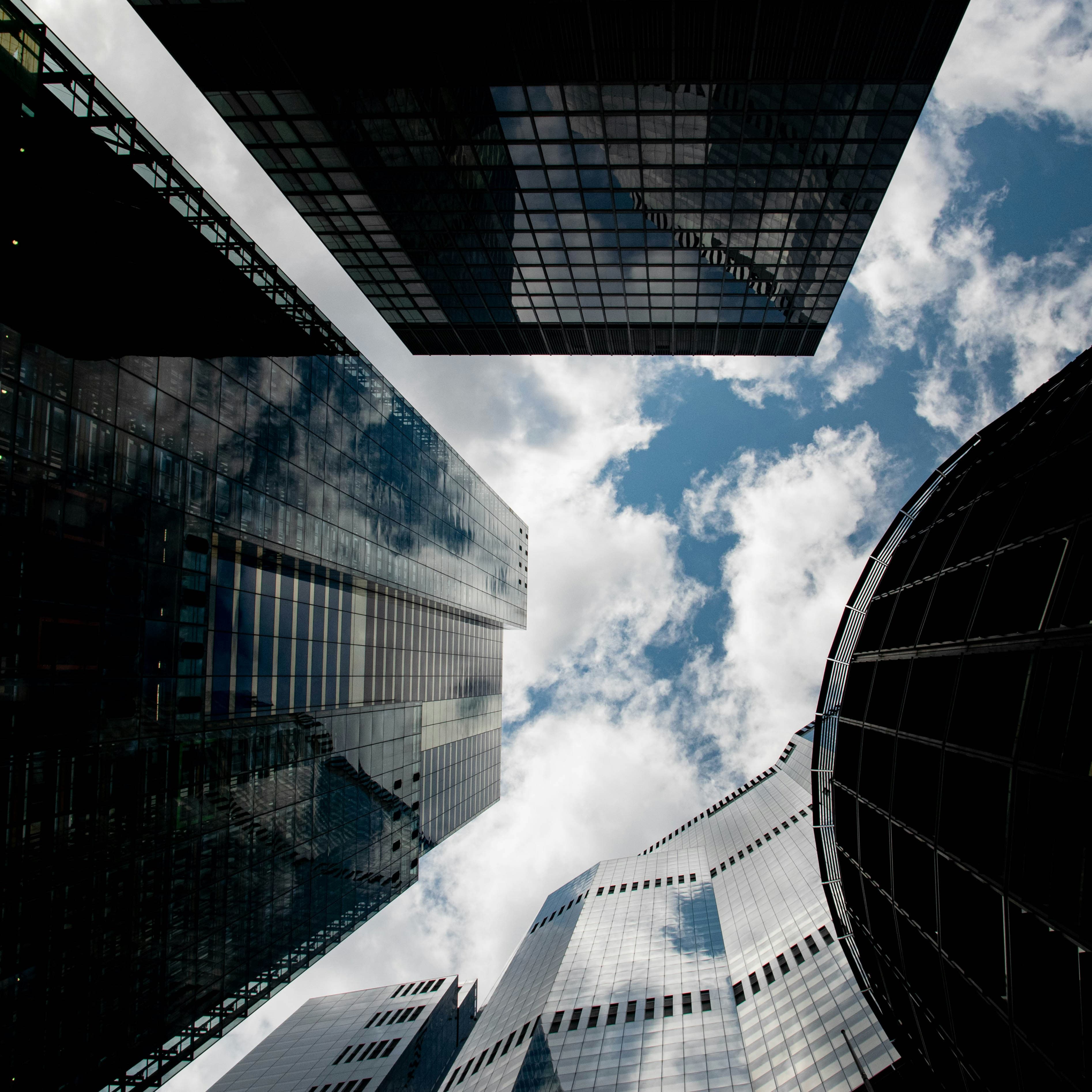 Sustainable Growth Strategies